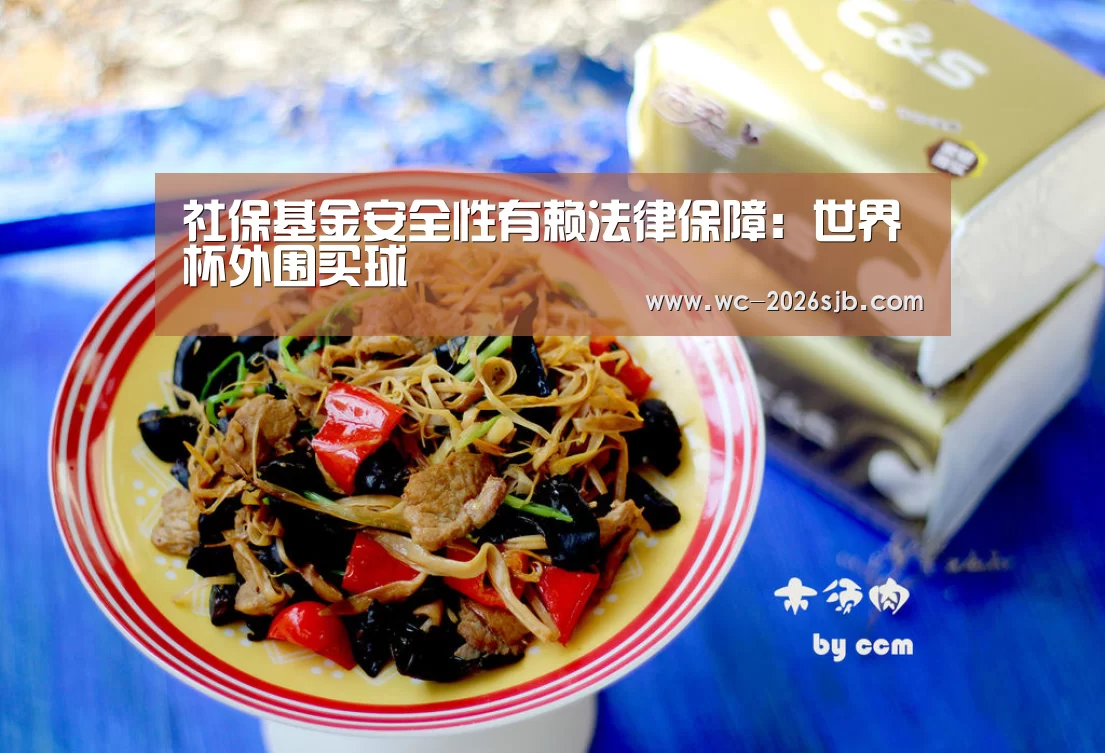 社保基金安全性有赖法律保障：世界杯外围买球