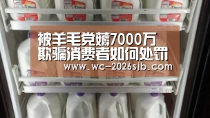 被羊毛党薅7000万 欺骗消费者如何处罚
